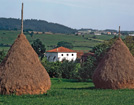 Varas de yerba de Casa Guillermo en Guimarán
